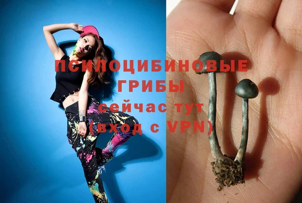 бошки Армянск