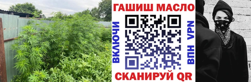 Дистиллят ТГК гашишное масло OMG вход Сосновоборск