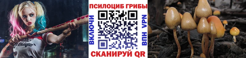 hydra вход  Сосновоборск  Галлюциногенные грибы Magic Shrooms 