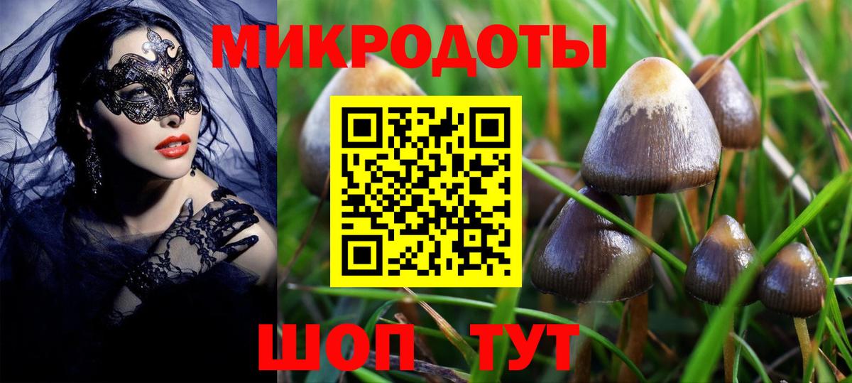 Галлюциногенные грибы ЛСД Сосновоборск